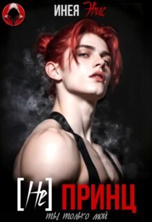 Скачать полную книгу «[не] Принц. Ты только мой» Инея Эвис бесплатно в формате fb2(фб2), epub(епаб)
